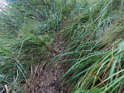 22 Erbaccia alta bagnata fradicia mi inzuppa scarponi, calzoni e gambe!